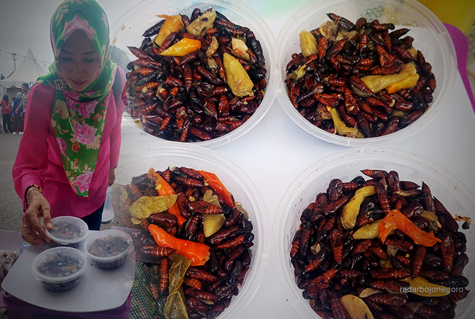 KULINEKULINER MUSIMAN: Seorang pengunjung melihat kuliner ungker-ungker yang sudah dikemas. Olahan oseng ini khas masakan Blora. (Lukman Hakim/RDR.BLORA)