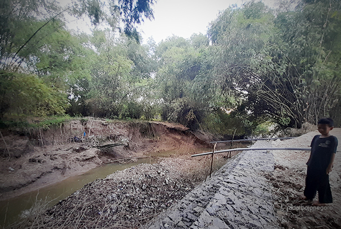 LONGSOR: Tebing sungai di Desa Kalirejo, Kecamatan Bojonegoro ini rawan ambrol, tahun ini sebanyak 39 titik dibangun dengan anggaran Rp 38,5 miliar. (Bhagas Dani Purwoko/RDR.BJN)