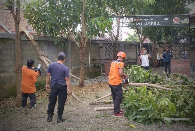 ANTISIPASI CUACA: Petugas BPBD mengevakuasi pohon tumbang di Desa Geneng Kecamatan Jepon. (LUKMAN HAKIM/RDR.BJN)