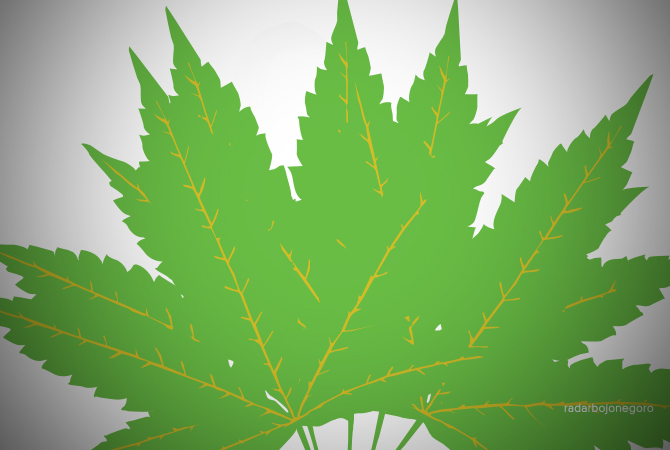 ILustrasi (Ucup/RDR.BJN)