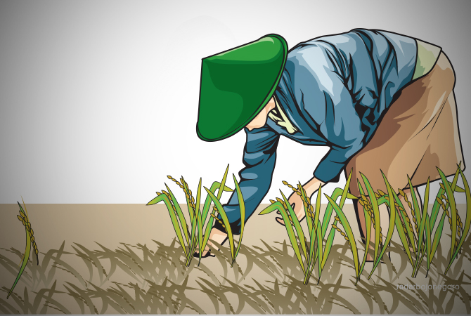 Ilustrasi (Ainur Ochiem/RDR.BJN)