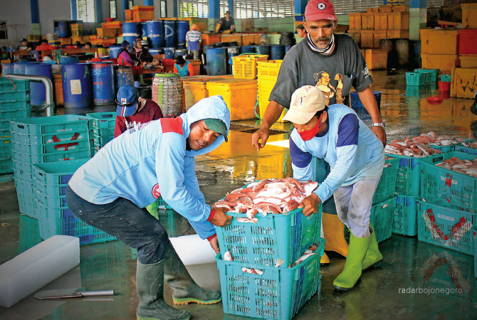 MONCER: Produksi perikanan tangkap di Lamongan tahun ini ditarget 78.014 ton. (ANJAR DWI PRADIPTA/RDR.LMG)