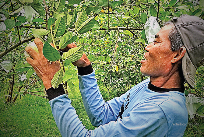 (AHMAD ALFIANSYAH MG-1/RDR.BJN)