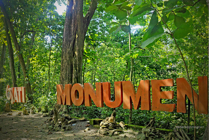 POHON RAKSASA: Pohon ukuran besar di Desa Malingmati, Kecamatan Tambakrejo, ini jadi ikonik jati. (DHANI WAHYU ALFIANSYAH/RDR.BJN)