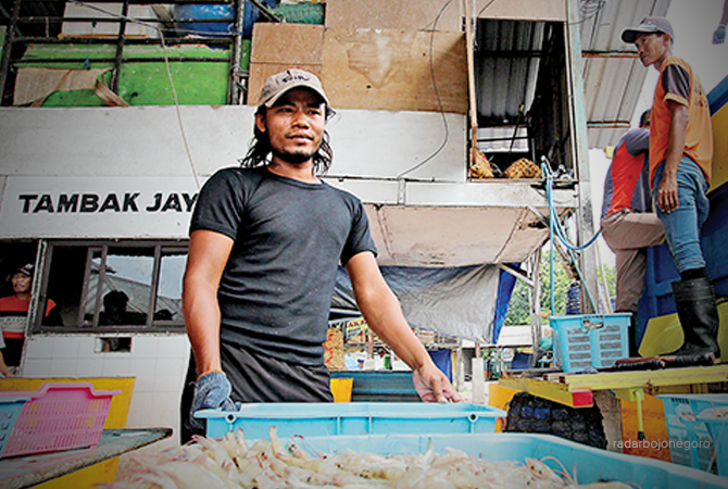 HARGA NAIK LAGI: Vanami yang ditaruh di bak pengemasan. Harga vanami tiga hari terakhir ini naik. (DOKUMENTASI RDR.LMG)