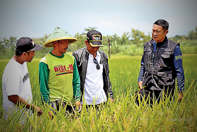 TINJAU LANGSUNG: Bupati Yes saat meninjau lahan pertanian dan mendengarkan aspirasi petani. (ISTIMEWA FOR RDR.LMG)