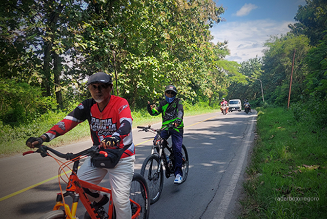 MENIKMATI ALAM: Pesepeda melintas di kawasan Hutan Cabak, dengan beragam pohon jati. (LUKMAN HAKIM/RDR.BLORA)