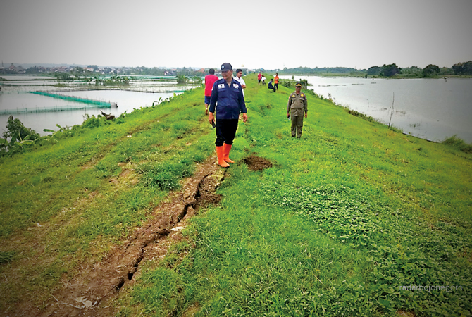 JADI PERHATIAN: BPBD Lamongan saat meninjau titik tanggul yang retak sepanjang 50 meter di Desa Plaosan, Kecamatan Babat. (M. GAMAL AYATULLAH/RDR.LMG)
