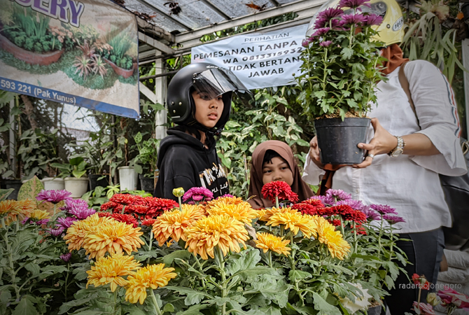 MEMILIH BUNGA: Pecinta bunga sedang memilih tanaman di taman bunga Veteran kemarin. (DHANI WAHYU ALFIANSYAH/RDR.BJN)