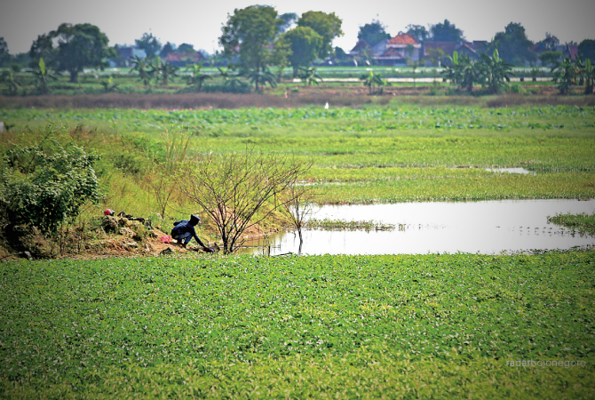 TINGKATKAN TAMPUNGAN: Sebanyak 57 embung tersebar di-16 kecamatan di Lamongan bakal dinormalisasi tahun ini. (ANJAR DWI PRADIPTA/RDR.LMG)