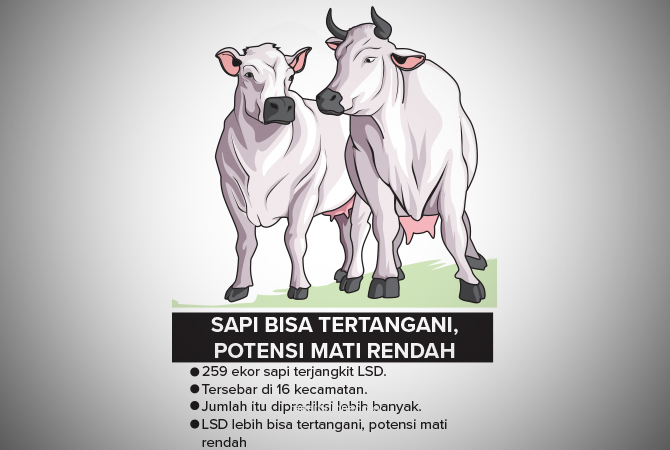 Ilustrasi (Ainur Ochiem/RDR.BJN)
