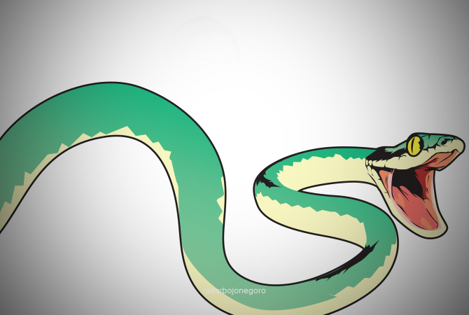 Ilustrasi (Ainur Ochiem/RDR.BJN)