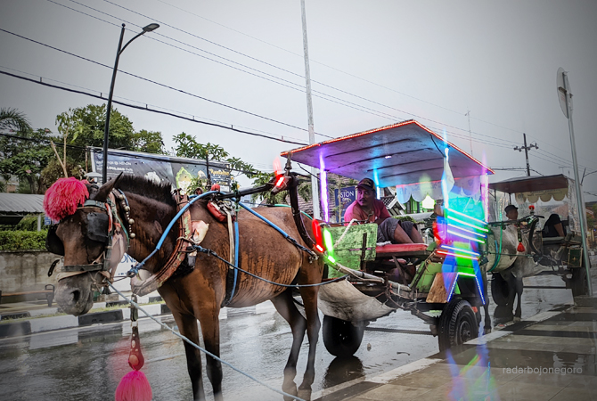 (DHANI WAHYU ALFIANSYAH/RDR.BJN)