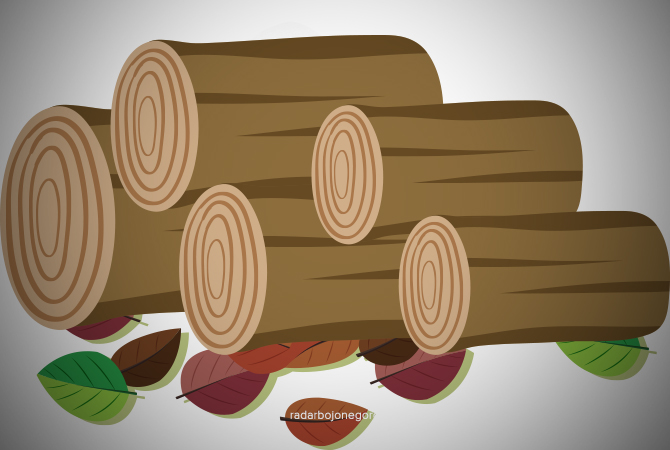 Ilustrasi kayu (ISTIMEWA FOR RDR.BJN)