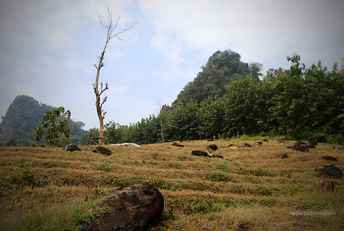 KEMBAR: Gunung Lawang dan Gunung Kendil ini berjejer. Tingginya mirip. Tampak foto juga terdapat bebatuan andesit. (DHANI WAHYU ALFIANSYAH/RDR.BJN)
