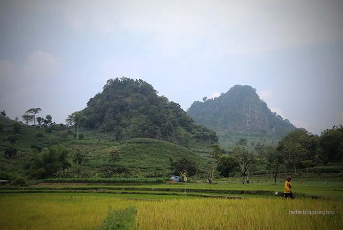 KEMBAR: Gunung Lawang dan Gunung Kendil ini berjejer. Tingginya mirip. Tampak foto juga terdapat bebatuan andesit. (DHANI WAHYU ALFIANSYAH/RDR.BJN)