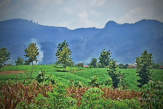 SEGAR: Bebatuan di Gunung Pandan. Foto atas, Gunung Pandan tampak membentang. Tampak jelas di Kecamatan Gondang dan Sekar. (DHANI WAHYU ALFIANSYAH/RDR.BJN)