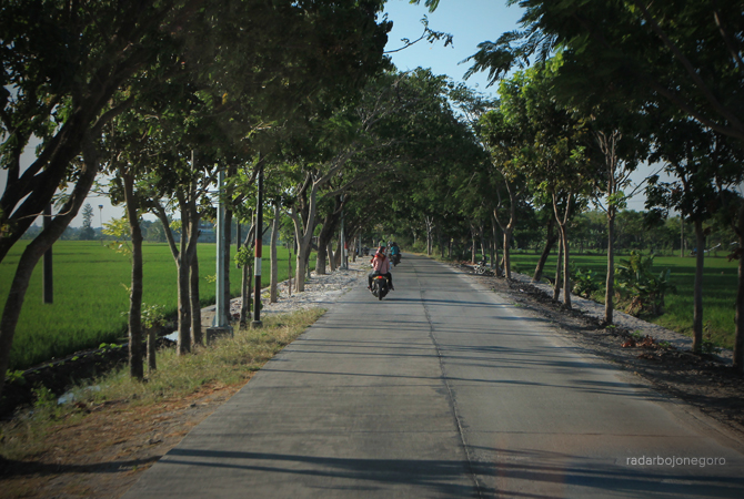 LANCAR: Jalan di Kecamatan Dander ini tampak nglenyer setelah dibangun cor. Saat ini 722 km jalan dicor (MJ. NURCHOLIS/RDR.BJN)