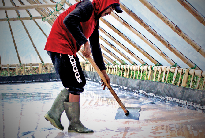 HARGA TURUN: Petani garam di wilayah pantura Lamongan. (ANJAR DWI PRADIPTA/RDR.LMG)