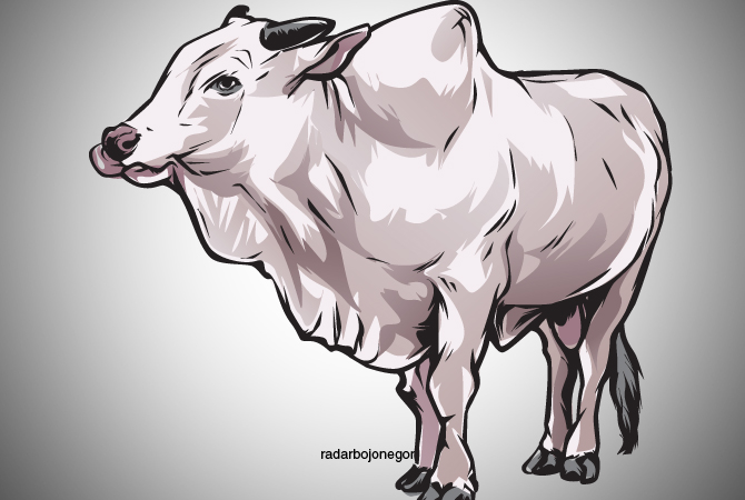 Ilustrasi (AINUR OCHIEM/RDR.BJN)