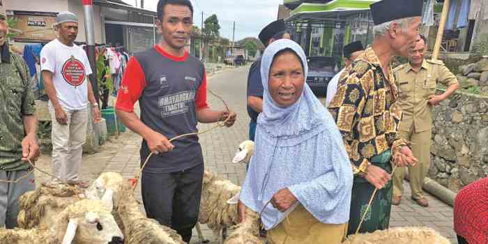 JAGA KESEHATAN HEWAN : Peternak diimbau untuk menjaga kesehatan ternaknya. Terlebih saat ini di beberapa daerah terjangkit antraks.(IST)
