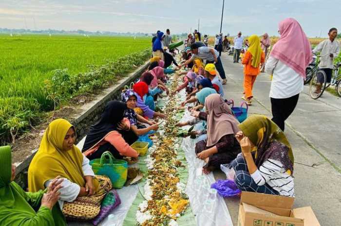 Puluhan warga Desa Laban melaksanakan tradisi Tingkeban Pari sebagai wujud syukur tanaman padi mulai berbuah.