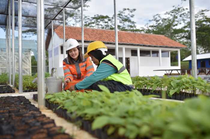 Karyawan Semen Gresik beraktivitas di area operasional Pabrik Rembang.