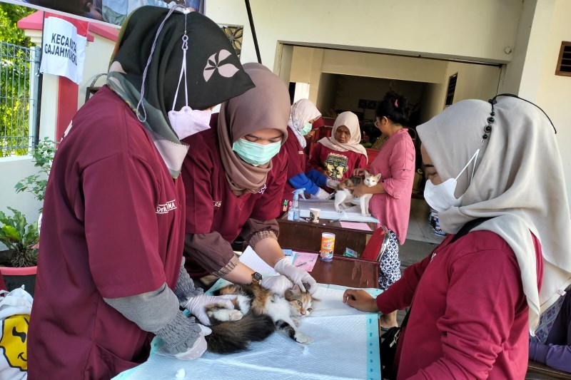 CEGAH RABIES : Suasana pemeriksaan hewan dan vaksinasi rabies kucing dan anjing di Halaman Kantor Kecamatan Gajahmungkur, Jumat (11/8). (NUR CHAMIM/JAWA POS RADAR SEMARANG)