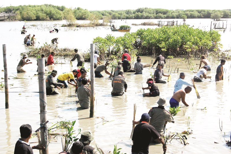 DESTINASI BAGUS : Mangrove satu wisata edukasi dan alam di Desa Morodemak Bonang. (Wahibpribadi/jawa pos radar semarang)