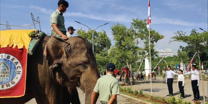 UPACARA BENDERA : Puluhan koleksi hewan satwa Safari Beach Jateng dibariskan untuk mengikuti upacara peringatan HUT ke-78 Kemerdekaan RI Kamis (17/8/2023).