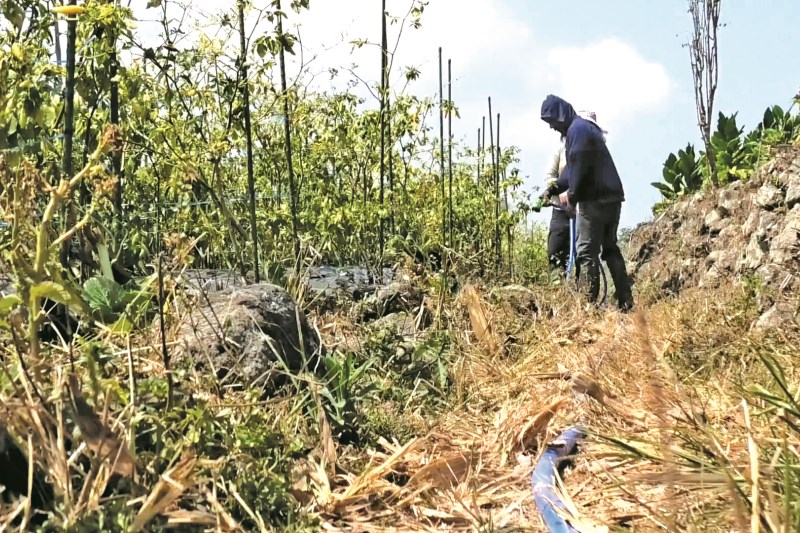 KERING :&nbsp; Petani menyirami lahan pertanian di Kecamatan Tlogomulyo, Kabupaten Temanggung. (ADDIN ALFATH/ JAWA POS RADAR MAGELANG)