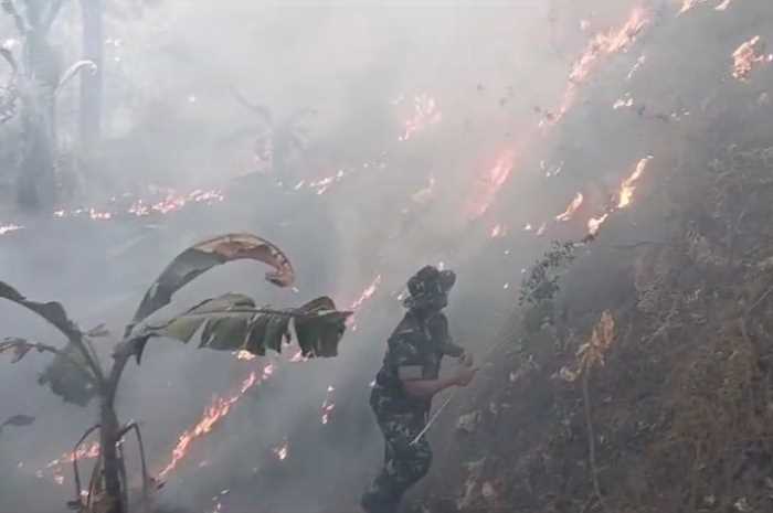 Kondisi saat terjadinya kebakaran hutan Wana Wisata Penggaron Ungaran.