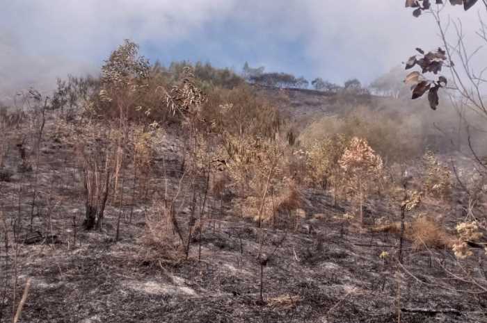 Lereng Gunung Sumbing yang terbakar.