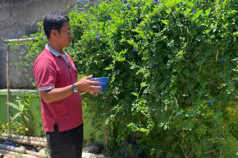 INOVATIF : Pemerintah Kelurahan Bandengan, Kecamatan Pekalongan Utara, Kota Pekalongan, memanfaatkan lahan kosong di sekitar kantor kelurahan untuk kegiatan produktif. (LUTFI HANAFI/JAWA POS RADAR SEM