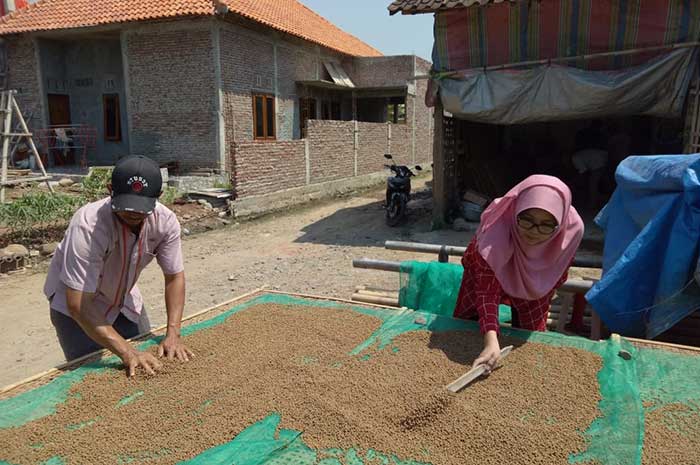 Tim Pengabdian kepada Masyarakat, Departemen Akuakultur, Fakultas Perikanan dan Ilmu Kelautan Undip, tengah memberi pendampingan kepada Pokdakan Sido Makmur, Kendal.
