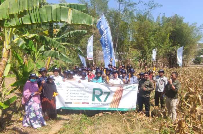 Suasana pengembangan jagung hibrida di Kafe Alam, Selasa siang (26/9).
