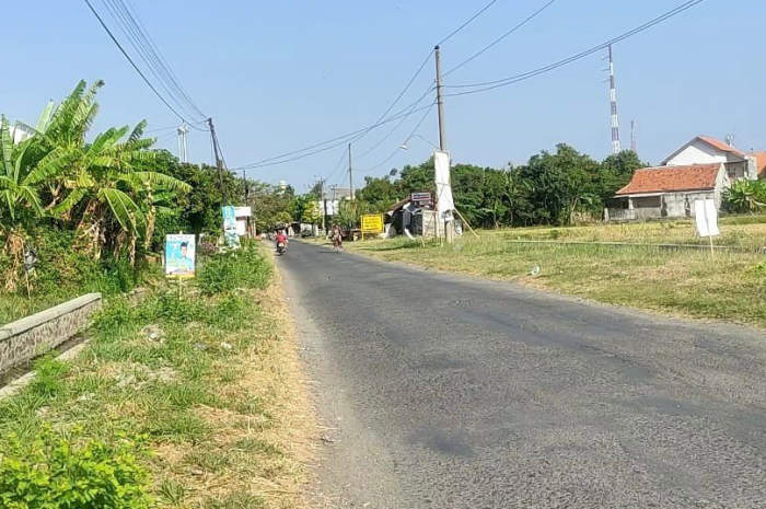 Potret baliho bacaleg yang marak terpasang di pinggir jalana Kabupaten Kendal.