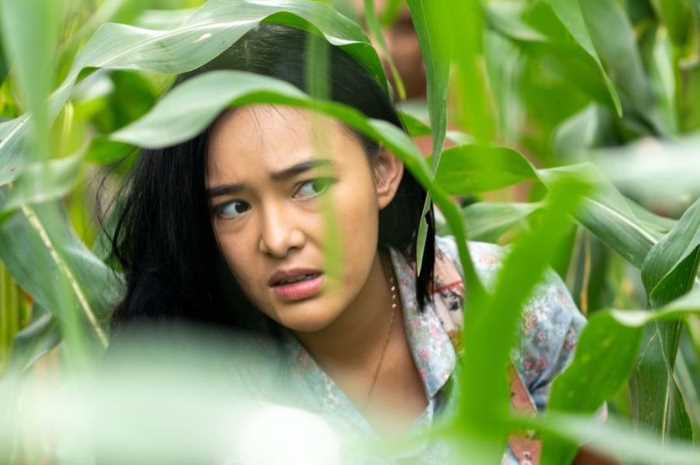 Instagram Film Kupu-Kupu Kertas
