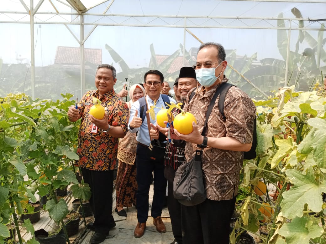 Para pengunjung memetik langsung buah melon di SMK Negeri 1 Bawen
