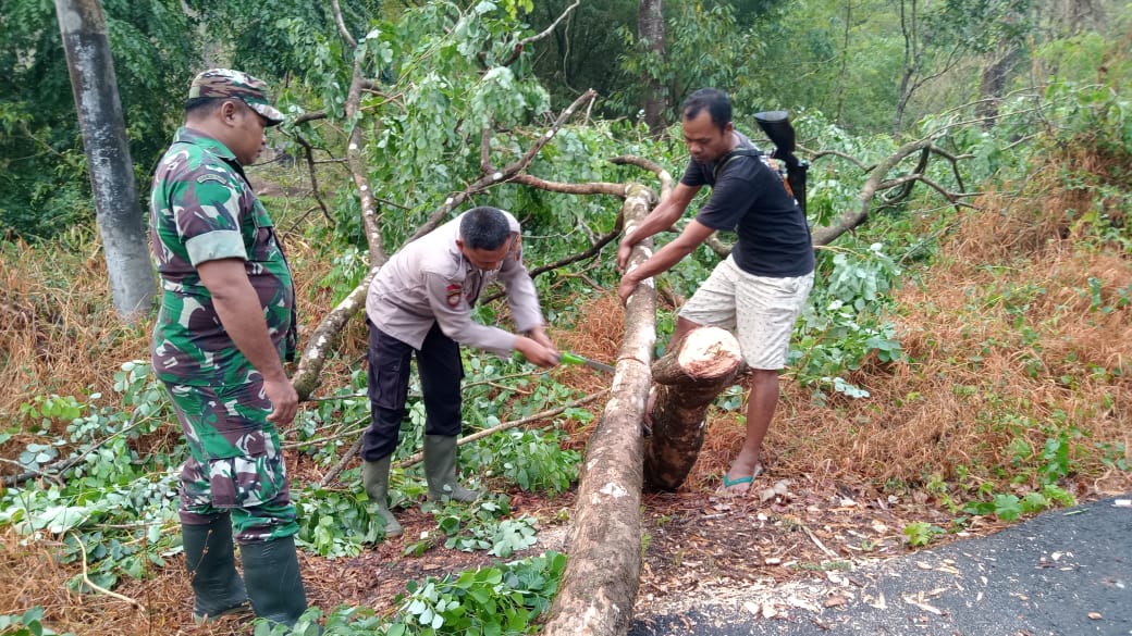 POHON TUMBANG: Warga bersama anggota Polsek Kandangserang dan koramil setempat saat mengevakuasi pohon tumbang di Jalan Raya Tajur, Jumat (6/10).