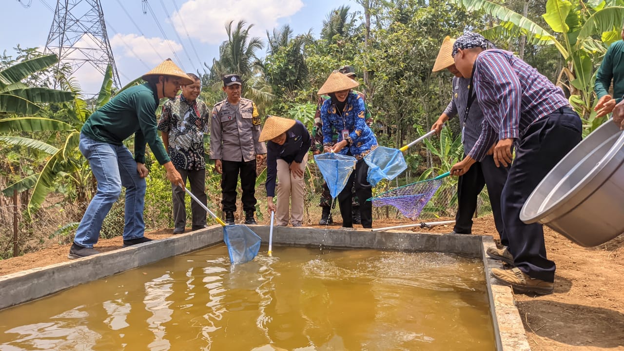Kepala Disparta Kabupaten Semarang bersama perwakilan dari PLN meninjau kolam lele salah satu fasilitas wisata edukasi di Deswita Lerep