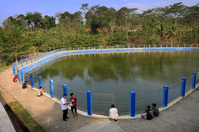 Warga Patemon memanfaatkan Embung Patemon untuk irigasi pertanian, mengaliri kolam ikan, pemancingan, dan wisata gratis.