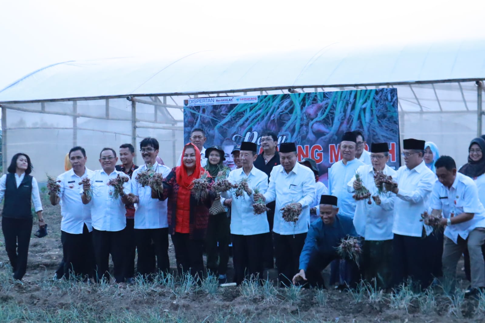 Caption Foto: Wali Kota Semarang, Hevearita Gunaryanti Rahayu bersama pengurus masjid melaksanakan panen bawang merah di Kawasan Masjid Agung Jawa Tengah (MAJT) di Kota Semarang, Rabu (25/10). (Ist)