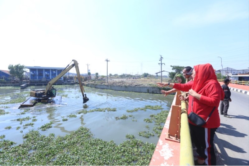 Caption Foto: Wali Kota Semarang, Hevearita Gunaryanti Rahayu saat meninjau pengerukan eceng gondok di Kali Banger, Kota Semarang, belum lama ini. (Ist)