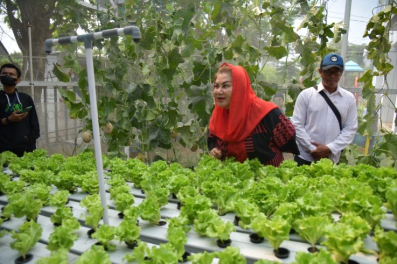 Caption Foto: Wali Kota Semarang, Hevearita Gunaryanti Rahayu saat melakukan Kick Off Urban Farming di Sekolah Nusaputera, Jalan Karang Anyar No 574, Gabahan, Semarang Tengah, Rabu (25/10). (Ist)