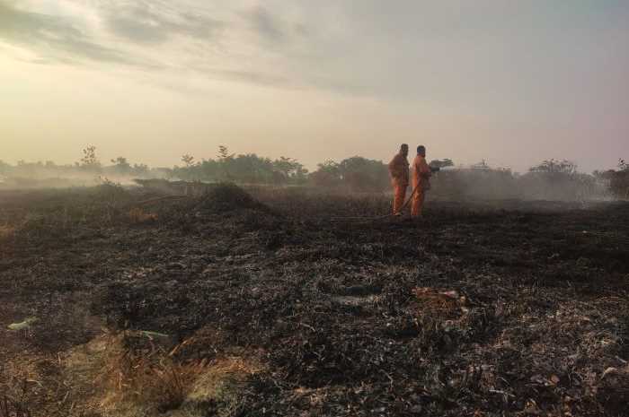 Petugas Damkar Kabupaten Pekalongan saat memadamkan kebakaran lahan di Desa Kayugeritan, Kecamatan Karanganyar, September 2023 lalu.