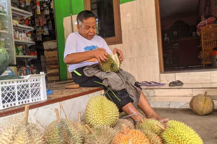 Sumanto, Warga Watugunung saat membelah Durian Tlogo.&nbsp;