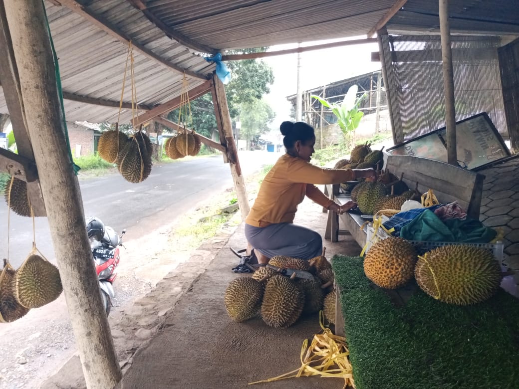 Salah satu pedagang Durian Brongkol di Dusun Krajan, Desa Brongkol