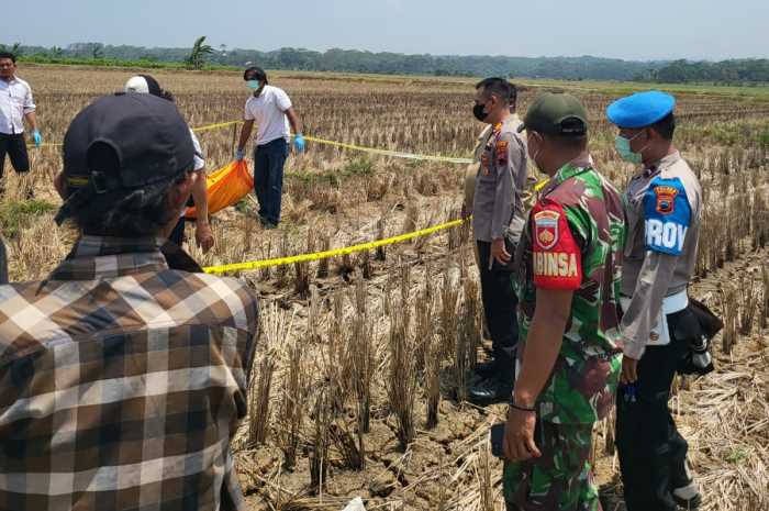 Petugas sedang melakukan evakuasi mayat yang ditemukan di area persawahan Kecamatan Kandeman.