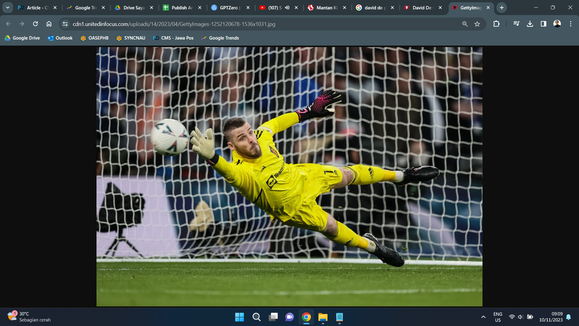 De Gea Saat Membela Manchester United